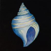 Still Life with Blue Conch